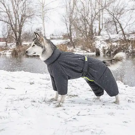 Комбінезон Pet Fashion «Cold» для собак, розмір L, сірий: додаткове фото 5