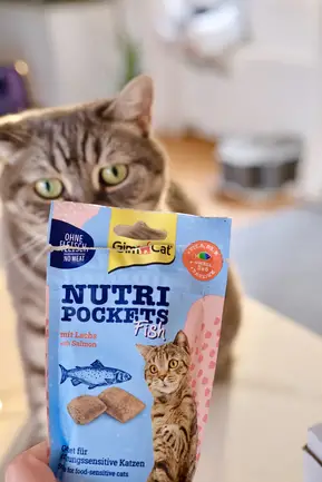 Ласощі для котів GimCat Nutri Pockets Fish Лосось 60 г: додаткове фото 6