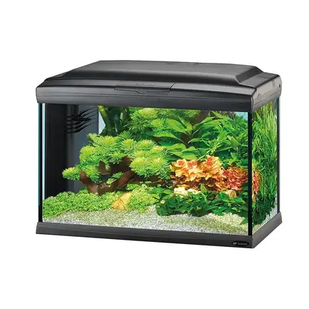 Ferplast CAYMAN 60LED PROFESS Акваріум чорний