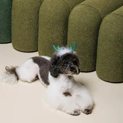 Аксесуар-ріжки Pet Fashion "Deer" для собак, розмір XS-S, зелені: додаткове фото 4