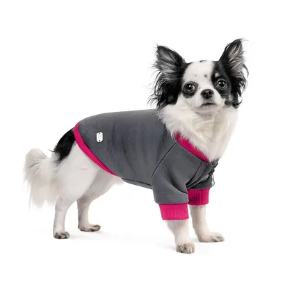 Толстовка Pet Fashion «Bim» для собак, розмір XS2, сіра: додаткове фото 2
