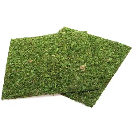 Фон моховий Repti-Zoo Natural Moss Back & Bottom 30x30см 2шт. (NCM3030): додаткове фото 3