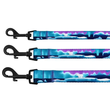 Повідець для собак BronzeDog Urban Travel нейлоновий Арктика M: додаткове фото 2