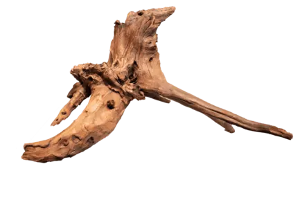 Мангрове дерево MANGROVE AGED WOOD X LARGE (A4080350)