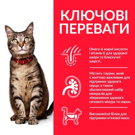 Hill&#039;s Science Plan Adult Сухий корм для дорослих котів, з куркою, 15 кг — Фото 2