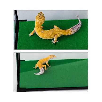 Килимок-субстрат Repti-Zoo Carpet Mat 20x30см (EC05): додаткове фото 9