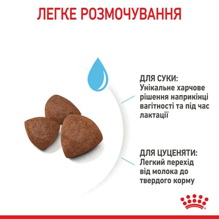 Сухий корм Royal Canin MEDIUM STARTER для дорослих собак середніх порід 1 кг: додаткове фото 6