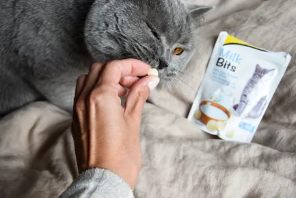 Вітамінізовані ласощі для котів GimCat MilkBits з молоком, 40 г: додаткове фото 2