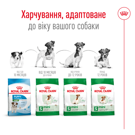 Сухий корм Royal Canin MINI ADULT для дорослих собак малих порід 8 кг — Фото 3