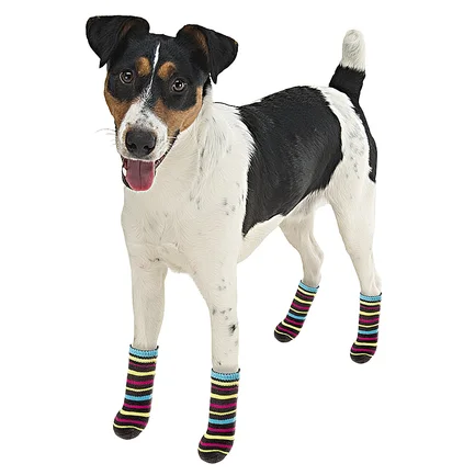 Ferplast PET SOCKS ANTISLIP LARGE (x4) Захисне взуття для собак: додаткове фото 2
