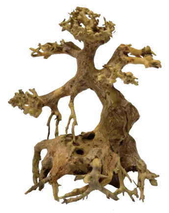 Дерево бонсай BONSAI DRIFTWOOD XS (A4080095)