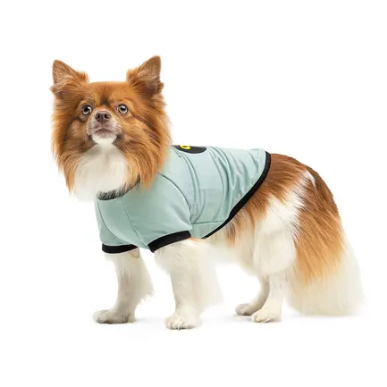 Футболка Pet Fashion Oscar для собак бавовна трикотаж рібана блакитна M: додаткове фото 2