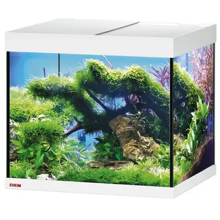 Акваріум Eheim vivaline LED 150 2x12W (LED) білий без тумби (0613033): додаткове фото 2