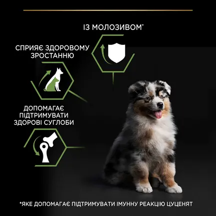Сухий корм PRO PLAN Medium Adult 1+ Sensitive Digestion для дорослих собак середніх порід з чутливим травленням з ягням 18 кг: додаткове фото 6