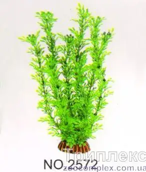 Aquatic Plants (Акватик Плэнтс) Акваріумна рослина, 25 см х 8 шт/уп.
