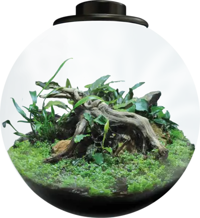 Акваріумний набір BIO ART BOWL 225 BLACK (A4056020)