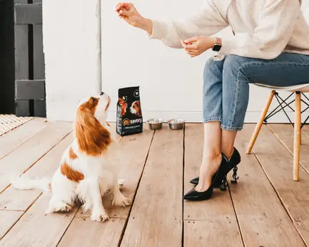 Сухий корм Savory Puppy для цуценят усіх порід, зі свіжою індичкою і куркою, 3 кг: додаткове фото 5