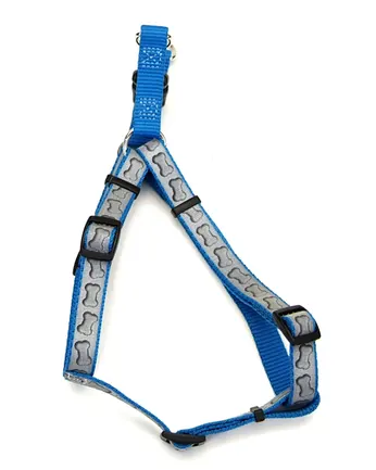Coastal Lazer Brite КОСТАЛ ЛАЗЕР БРАЙТ світловідбивна шлея для собак, 1.6х48-66см Бірюзовий