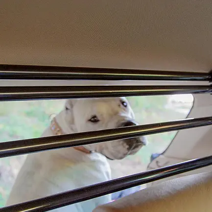 Ferplast DOG CAR SECURITY Автомобільні захисні грати для собак: додаткове фото 5