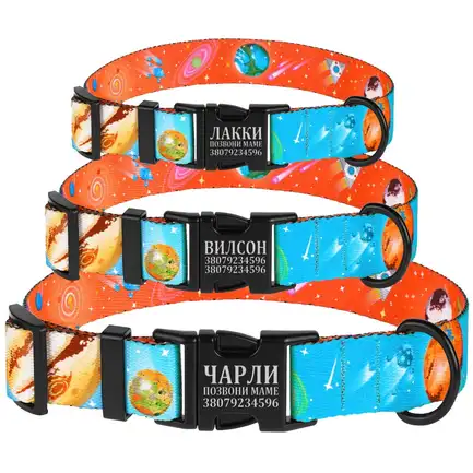 Нашийник для собак BronzeDog Urban Cosmos нейлоновий з металевою пряжкою Блакитний XL: додаткове фото 5