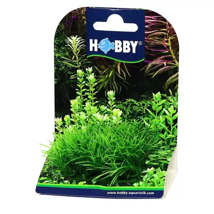 Штучна рослина Hobby Plant Pad 2 7x4,5x4,5см (51552): додаткове фото 3