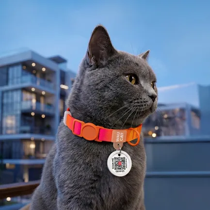 Нашийник для котів нейлоновий WAUCAT Nylon Recycled з QR адресником, градієнт, безпечна пряжка, XS, Ш 10 мм, Дов 20-30 см, помаранчевий: додаткове фото 4