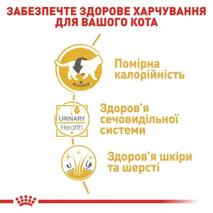 Вологий корм Royal Canin BRITISH SHORTHAIR ADULT для котів всіх поріди Британська короткошерста кішка 85 г: додаткове фото 4