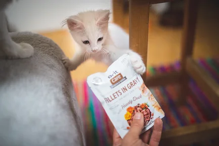 Вологий корм Brit Care Cat Pouch для котів, філе в соусі, качка, 85 г: додаткове фото 3