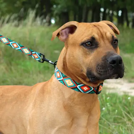 Нашийник для Собак BronzeDog Urban Нейлоновий з Пластиковою Пряжкою Ромби M: додаткове фото 9