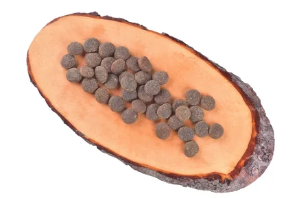 Сухий корм Carnilove True Fresh для дорослих собак всіх порід, з індичкою, 11,4 кг: додаткове фото 2