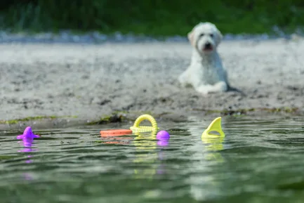 Іграшка для собак Trixie кільце плаваюче для водних розваг термопластична гума, 17 см: додаткове фото 2