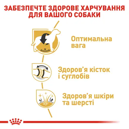 Сухий корм Royal Canin LABRADOR ADULT для дорослих собак породи Лабрадор 12 кг: додаткове фото 3