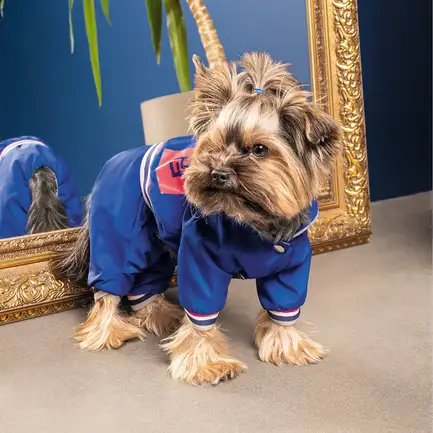 Дощовик Pet Fashion «Silver» для собак, розмір L, синій: додаткове фото 3
