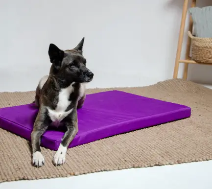 Матрац xарлей №2 Фіолетовий Lucky Pet, 45x50x5: додаткове фото 2