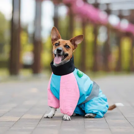 Комбінезон Pet Fashion Milly дівчинка для собак ML: додаткове фото 4