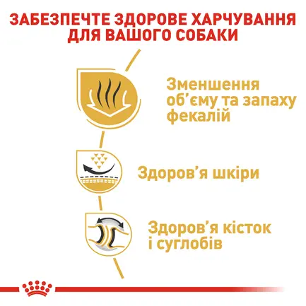 Сухий корм Royal Canin BULLDOG ADULT для дорослих собак породи Бульдог 3 кг: додаткове фото 3