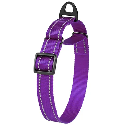 Нашийник для собак Мартінґейл Bronzedog Active нейлоновий зі світловідбиттям фіолетовий M: додаткове фото 4