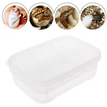 Інкубатор пластиковий на 12 яєць Terrario EggIncubator (Terrario-eggincubator): додаткове фото 3