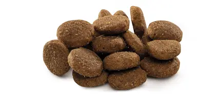 Сухий корм Brit Premium Dog Junior XL для цуценят та юніорів гігантських порід, з куркою, 3 кг: додаткове фото 2
