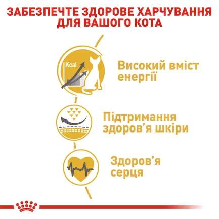 Сухий корм Royal Canin SPHYNX ADULT для котів породи Сфінкс 2 кг: додаткове фото 4