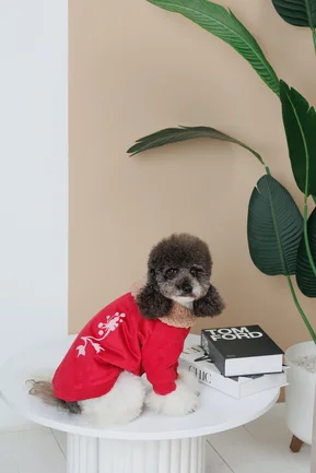 Кардиган Pet Fashion Garcia для собак розмір M: додаткове фото 7