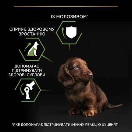 Сухий корм PRO PLAN Small & Mini Puppy <1 Healthy Start для цуценят дрібних порід з куркою 700 г: додаткове фото 7