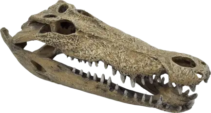 Декорація для акваріума REPTO DECO CROCODILE XXL (R5100365)