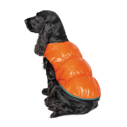 Жилет Pet Fashion «Spring» для собак, розмір XS2, помаранчевий: додаткове фото 2