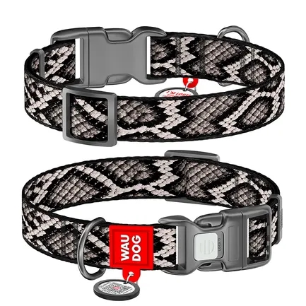 Нашийник для собак нейлоновий WAUDOG Nylon з QR адресником, малюнок "Змія", пластиковий фастекс, XL, Ш 25 мм, Дов 37-58 см