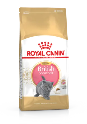 Сухий корм Royal Canin KITTEN BRITISH SHORTHAIR для породи кошенят Британська короткошерста кішка 2 кг