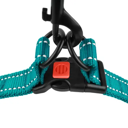 Шлея для Собак BronzeDog Active Нейлонова зі Світловідбиттям Бірюзова L: додаткове фото 3