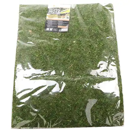 Фон моховий Repti-Zoo Natural Moss Back & Bottom 60x45см 2шт. (NCM6045): додаткове фото 3