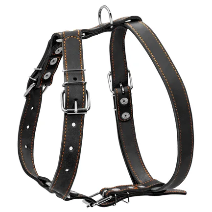 Шлея "CoLLaR" одинарна для середніх собак (ширина 25мм, А:49-68см, В:68-80см) чорний: додаткове фото 2