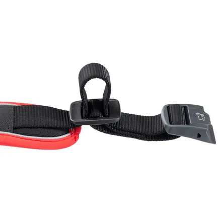 Ferplast GENIUS C25/45 RED COLLAR нейлоновий нашийник для тварин червоний: додаткове фото 7